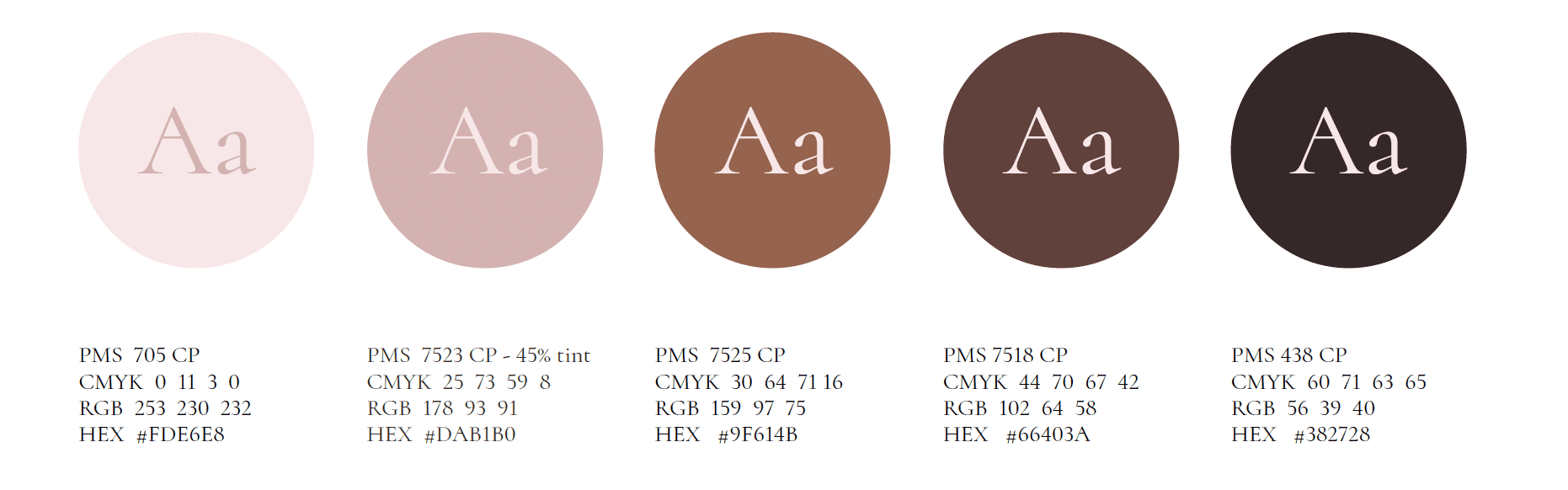 Color Palette - Brand Identity Example