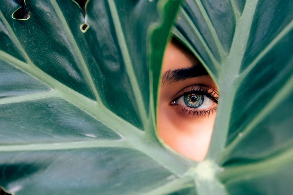 Woman's eye seen through leaves of tree